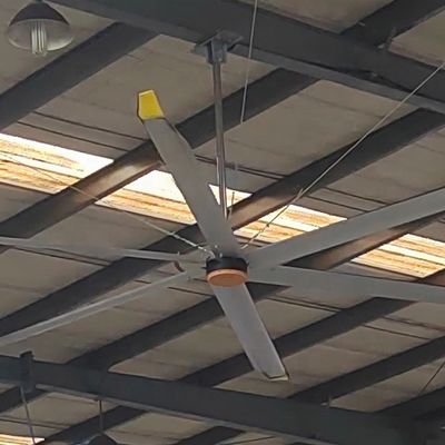 Καλή τιμή. 5.5m 18FT HVLS ανεμιστήρας οροφής για το εστιατόριο άμεση και κατασκευαστική μονάδα υψηλής τάσης σε απευθείας σύνδεση