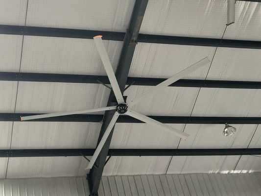 Καλή τιμή. Κέντρο Αθλητισμού Μπάσκετ 5.4M 17ft 1.5KW Long Blade Ceiling Fan σε απευθείας σύνδεση